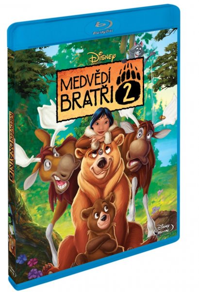 detail Medvědí bratři 2 - Blu-ray