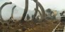 náhled Kong: Ostrov lebek - Blu-ray 3D + 2D