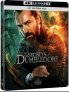 náhled Fantastyczne zwierzęta: Tajemnice Dumbledore’a - 4K Ultra HD Blu-ray + Blu-ray Steelb