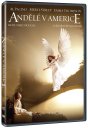 podgląd Andělé v Americe - 2DVD