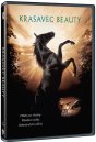 podgląd Krasavec Beauty - DVD