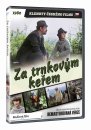 podgląd Za trnkovým keřem (remasterovaná verze) - DVD