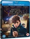 podgląd Fantastyczne zwierzęta i jak je znaleźć - Blu-ray