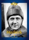 podgląd Mazlíček - DVD digipack