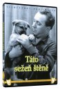 podgląd Táto sežeň štěně - DVD