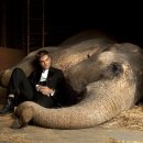 podgląd Voda pro slony - DVD