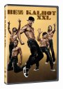 podgląd Bez kalhot XXL - DVD