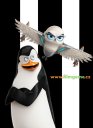 podgląd Tučňáci z Madagaskaru - DVD