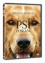 podgląd Psí poslání - DVD