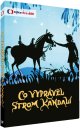 podgląd Co vyprávěl strom Kandalí - DVD