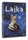 podgląd Lajka - DVD
