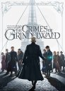 podgląd Fantastická zvířata: Grindelwaldovy zločiny - DVD