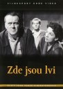 podgląd Zde jsou lvi - DVD