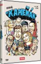 podgląd Kameňák - 1. série - 2DVD