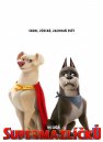 podgląd DC Liga Super-Pets - DVD
