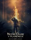 podgląd Notre-Dame płonie - DVD