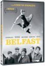 podgląd Belfast - DVD