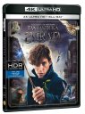 podgląd Fantastyczne zwierzęta i jak je znaleźć - 4K Ultra HD Blu-ray + Blu-ray (2BD)