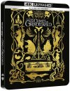 podgląd Fantastická zvířata: Grindelwaldovy zločiny - Blu-ray Steelbook