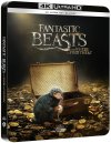 podgląd Fantastická zvířata a kde je najít - 4K Ultra HD Blu-ray + BD Steelbook (bez CZ)