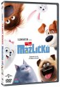 podgląd Sekretne życie zwierzaków domowych - DVD