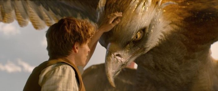 szczegóły Fantastická zvířata a kde je najít - Blu-ray