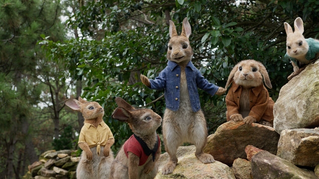 szczegóły Piotruś Królik