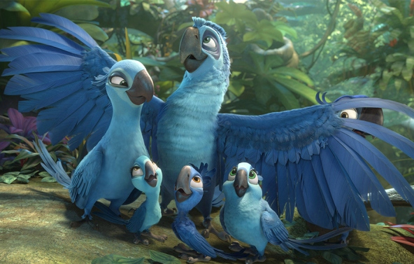 szczegóły RIO 2 - DVD
