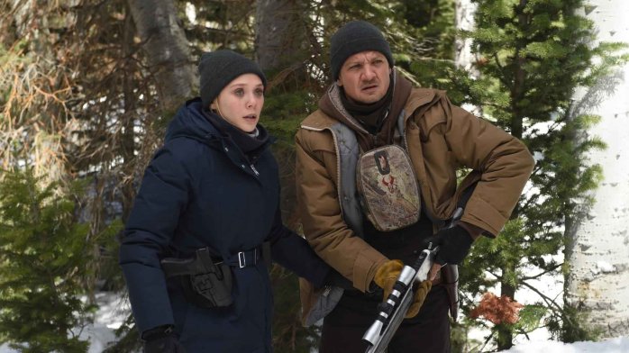 szczegóły Wind River - DVD