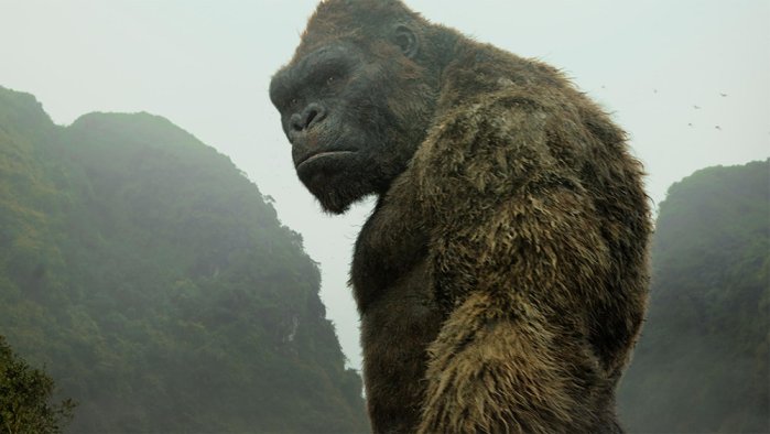 szczegóły Kong: Wyspa Czaszki - 4K Ultra HD Blu-ray