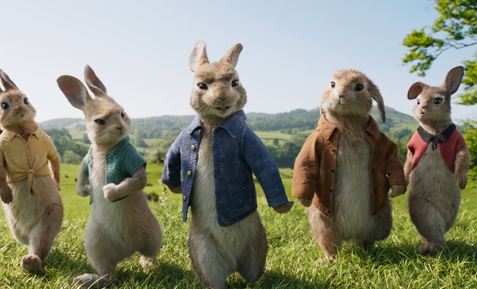 szczegóły Piotruś Królik