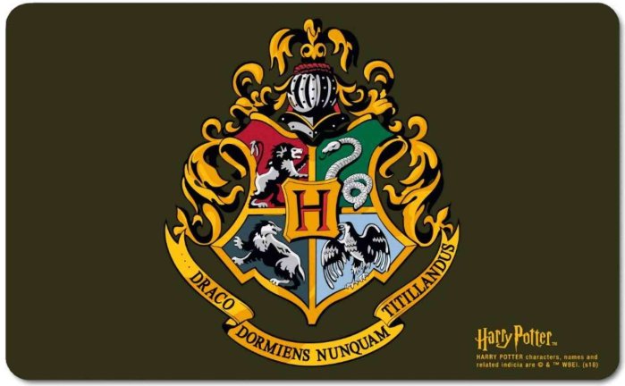 szczegóły Podložka na jídelní stůl - Harry Potter