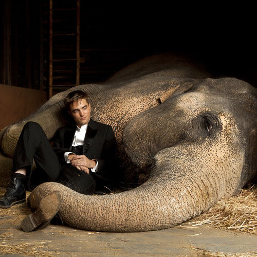 szczegóły Voda pro slony - DVD