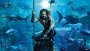 podgląd Aquaman - DVD