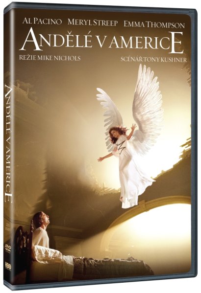 szczegóły Andělé v Americe - 2DVD