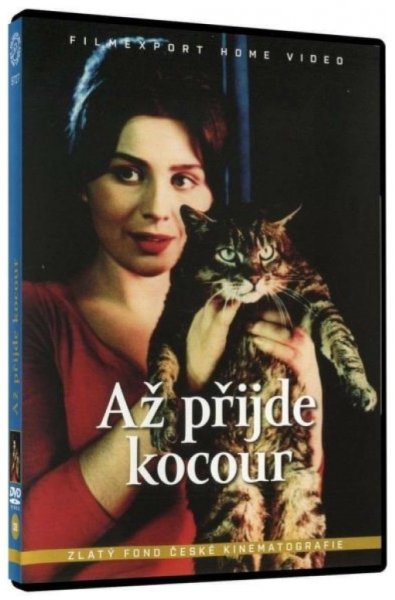detail Až přijde kocour - DVD