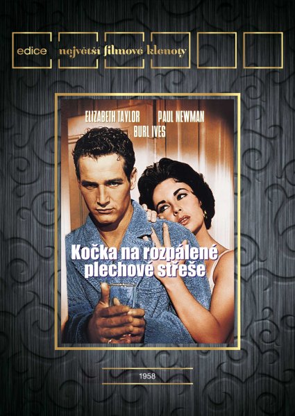 szczegóły Kočka na rozpálené plechové střeše - DVD