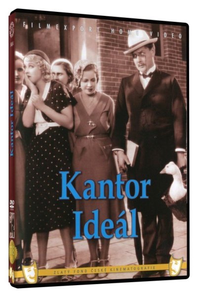 szczegóły Kantor ideál - DVD