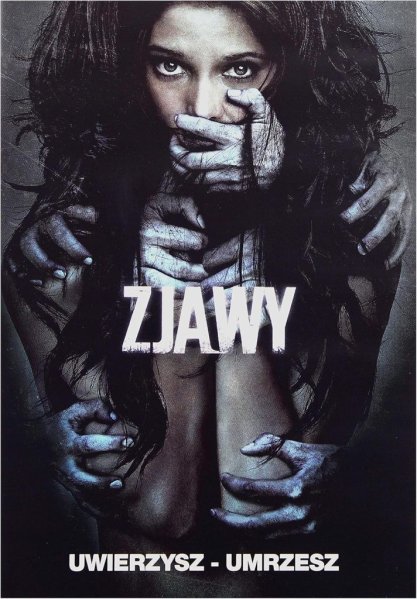 szczegóły Zjawy - DVD