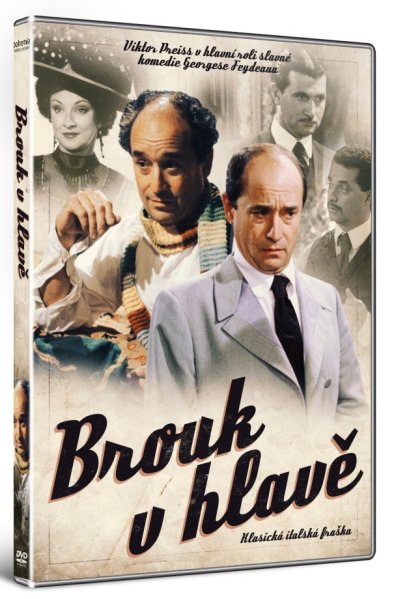 szczegóły Brouk v hlavě - DVD