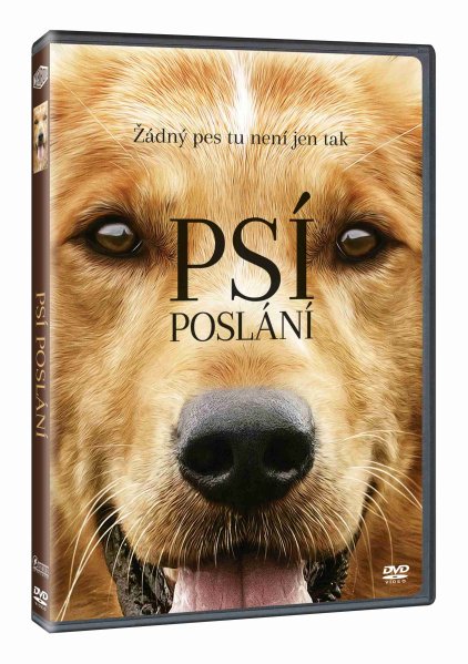 szczegóły Psí poslání - DVD