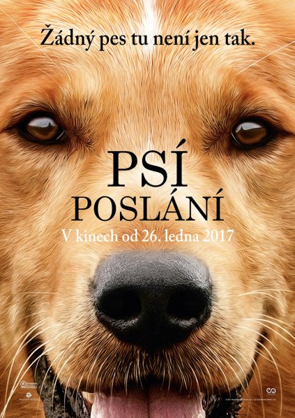 szczegóły Psí poslání - DVD