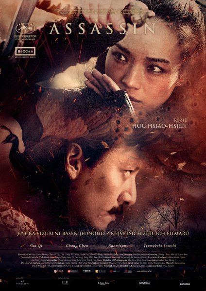 szczegóły Assassin - DVD