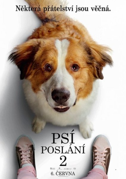 szczegóły Psí poslání 2 - DVD