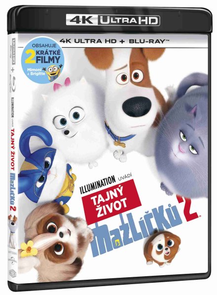 szczegóły Sekretne życie zwierzaków domowych 2.  - 4K Ultra HD Blu-ray + Blu-ray (2 BD)