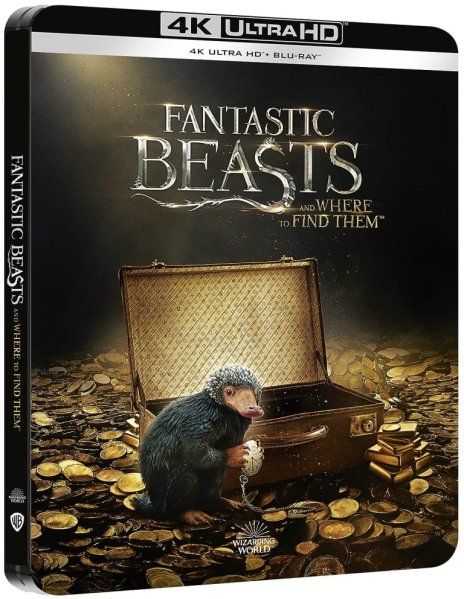szczegóły Fantastická zvířata a kde je najít - 4K Ultra HD Blu-ray + BD Steelbook (bez CZ)