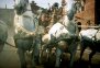 podgląd Ben Hur - 2DVD