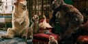 podgląd Doktor Dolittle - 4K Ultra HD Blu-ray + Blu-ray (2BD)