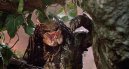 podgląd Predator - 4K Ultra HD Blu-ray