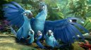 podgląd Rio 2 - Blu-ray 3D + 2D Limitovaná edice s plyšovou hračkou